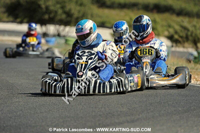 DSC_7008 copie.jpg